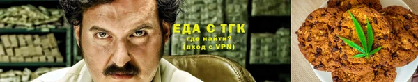 трава Ельня