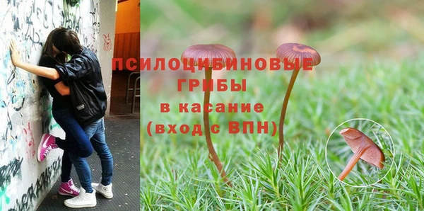 винт Алексеевка